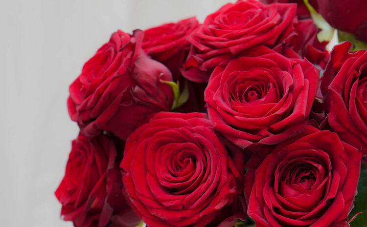  Życzenia z okazji Dnia Pracownika Socjalnego